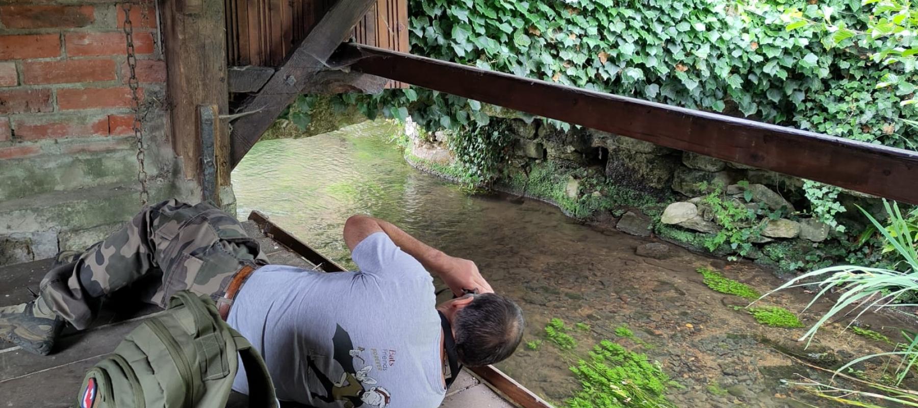 Recherche des chauves-souris