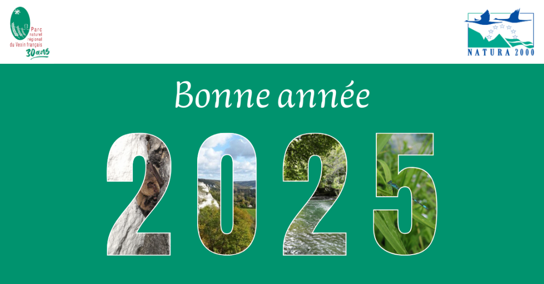 Voeux 2025