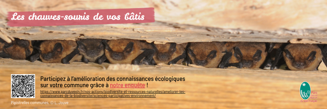 Bannière enquête chiros